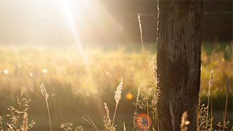 一键下单即得的ddos服务器攻击手段