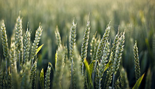 网站攻击工具手机版