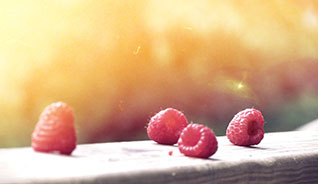 网站攻击工具手机版